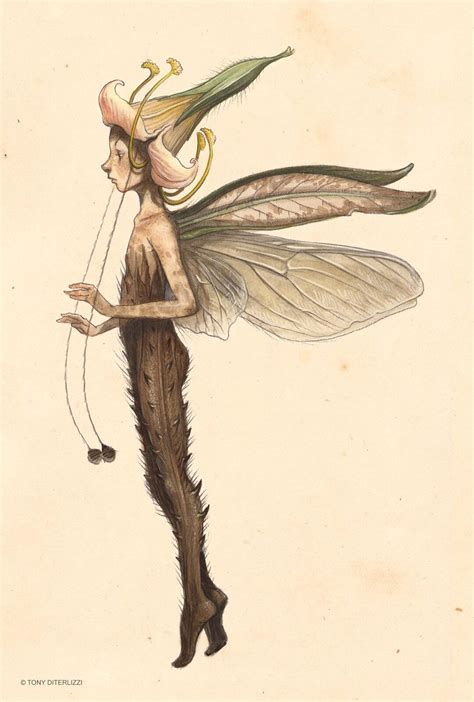 Care and Feeding of Sprites – Tony DiTerlizzi | Desenhos de fadas, Arte ...