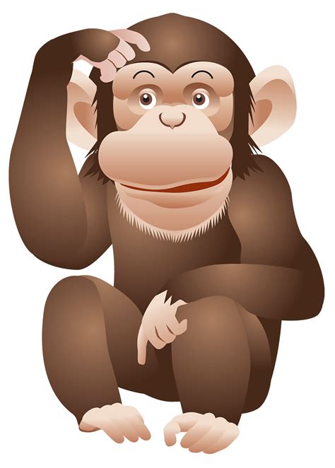 Monkey PNG transparent image download, size: 1200x1677px