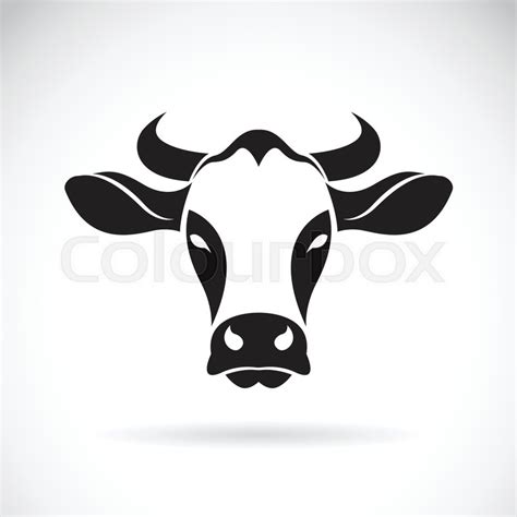 Vector of cow head on white ... | Stock vector | Colourbox