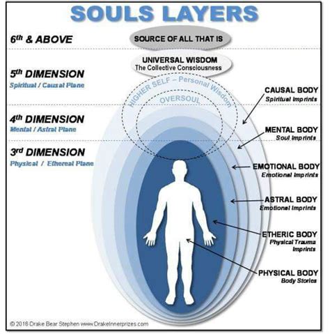 Anatomy of A Soul | Spirituality ｡ϟ☆ Amino