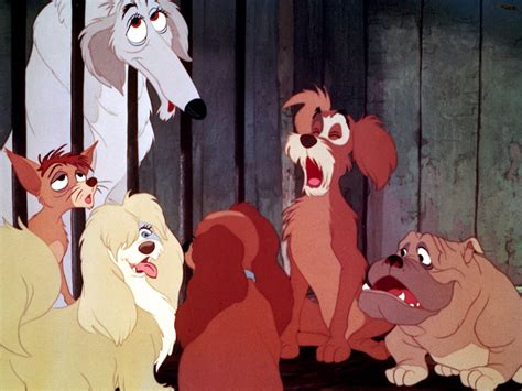 Pound Dogs, (Lady and the Tramp) | Disney Versus Non-Disney Villains ...