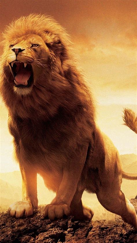 Golden Lion Wallpapers - Wallpaper Cave