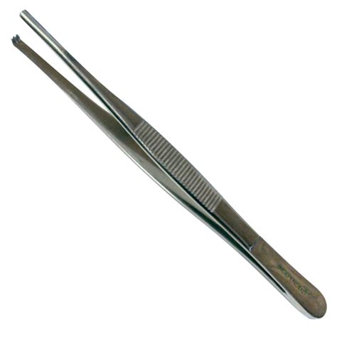 Rat Tooth Tissue Forceps – Independent Dental Supplies