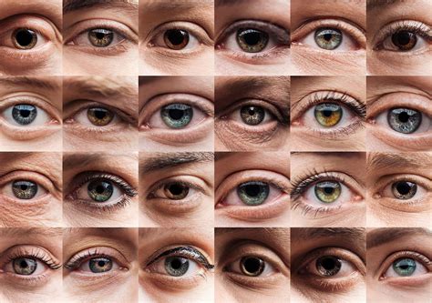 ¿Los Ojos Crecen Con El Tiempo? - Bienpincherico.mx