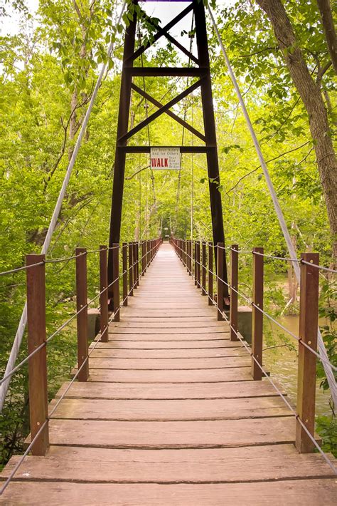 Brown Wooden Foot Bridge Surrounded by Trees · Free Stock Photo