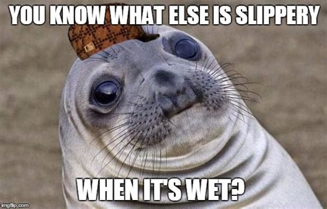 Awkward Moment Sealion Meme - Imgflip