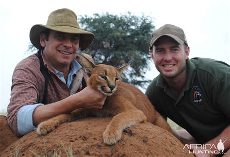 Caracal Hunt South Africa | AfricaHunting.com