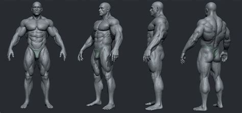 siamak-roshani-male-body-builder-01.jpg (1920×899) | Referência anatomia, Anatomia, Corpo masculino