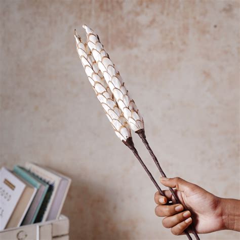 DIY Flower Stick Online - Premium Dried Flower Stick | Nestasia