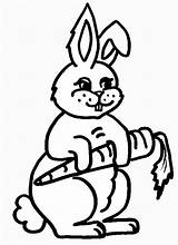 Rabbit Coloring Pages sketch template