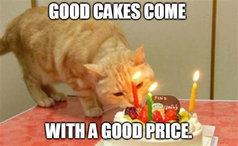 10 Best Cake Day Memes in 2023 | Hilarious Cake Memes