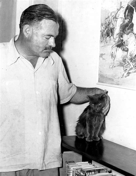 26 Interesting Vintage Photos of Ernest Hemingway With His Beloved Cats ...