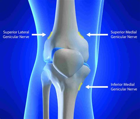 Nerve block uses, duration, nerve block procedure & side effects