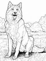 Free Realistic Puppy Coloring Pages Download  sketch template