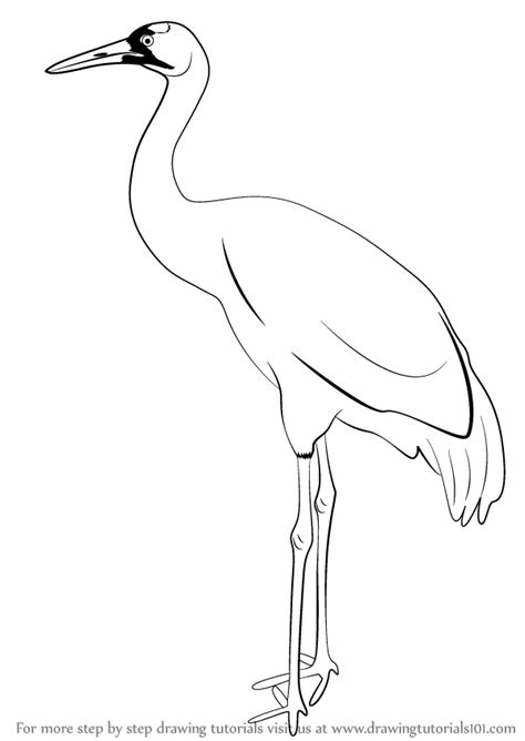 Blue Crane Bird Coloring Pages Coloring Pages