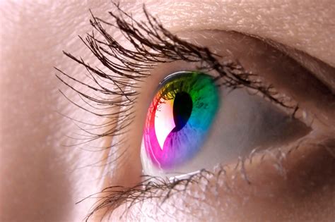 Are You Tetrachromat? - 100% Accurate Tetrachromacy Test