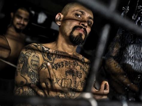 MS-13 in U.S. Not Violent Enough, Say Salvadoran Gang Leaders