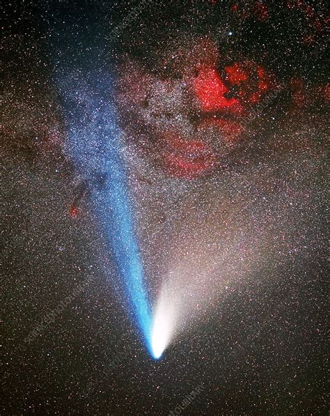 Comet Hale-Bopp - Stock Image - R451/0100 - Science Photo Library