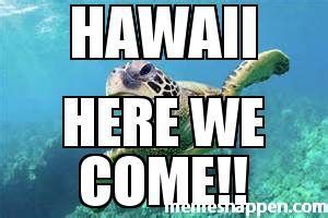 Hawaii - Meme - MemesHappen