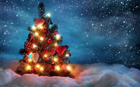 Bing Christmas Tree Wallpapers - Wallpaper Cave