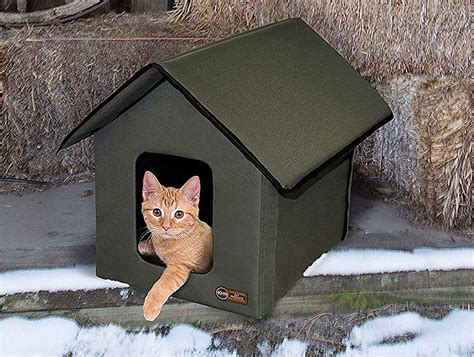 Best Heated Cat House Reviews And Complete Buying Guide 2024