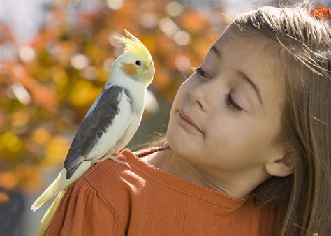 These 7 Birds Make the Best Pets for Kids