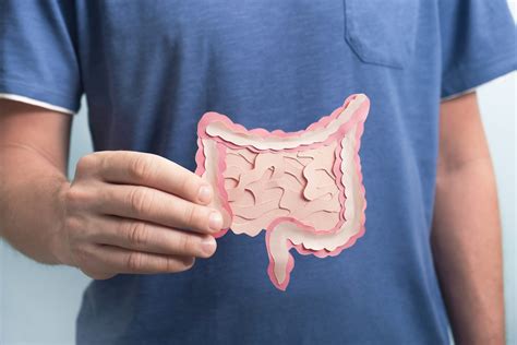 Beer could be good for gut microbia, study suggests