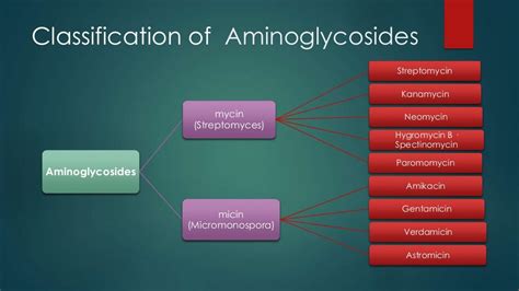 Aminoglycosides