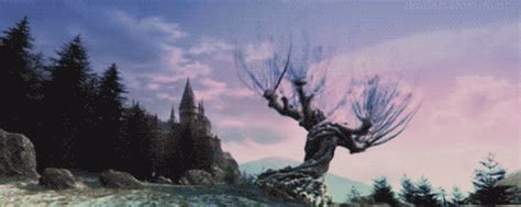 I've been Whomping my Willow thinking about you. | Harry Potter Pickup Lines | POPSUGAR Love ...