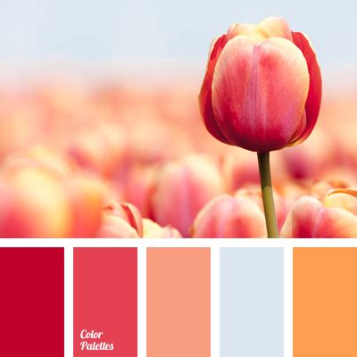 coral | Page 6 of 8 | Color Palette Ideas