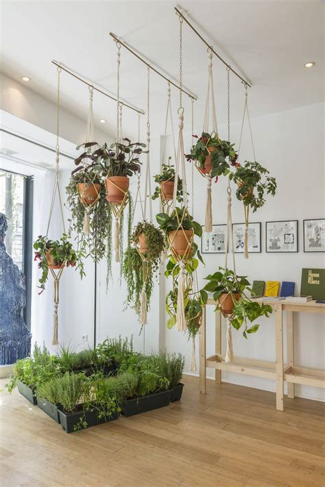 22 Stunning Ideas For Indoor House Plant - The Architecture Designs