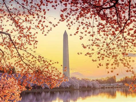Washington Monument Facts: Eye-Opening Insights