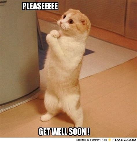 40 Funny Get Well Soon Memes To Cheer Up Your Dear One - SayingImages.com | Get well soon cat ...