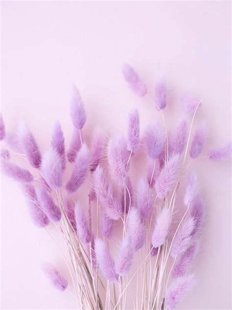 Photo Wall Collage Kit Lavender Light Purple Aesthetic set - Etsy | Purple wallpaper iphone ...