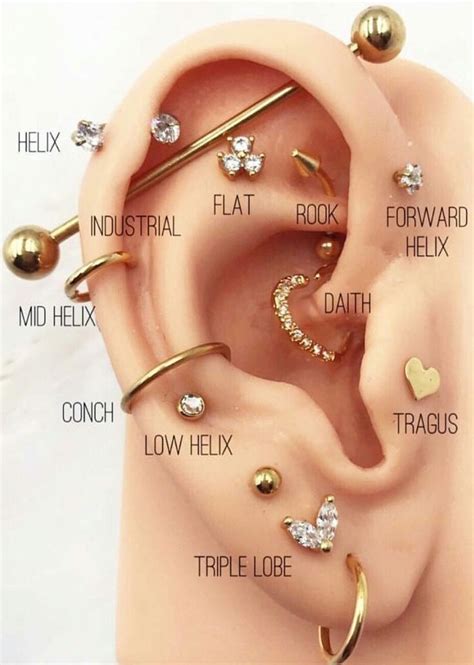 Ear Piercings Chart: A Complete Guide