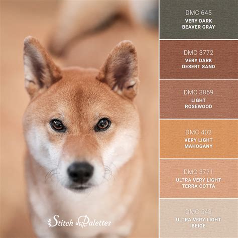 Shades Of A Shiba Inu - Embroidery Color Palette (With Thread Codes)