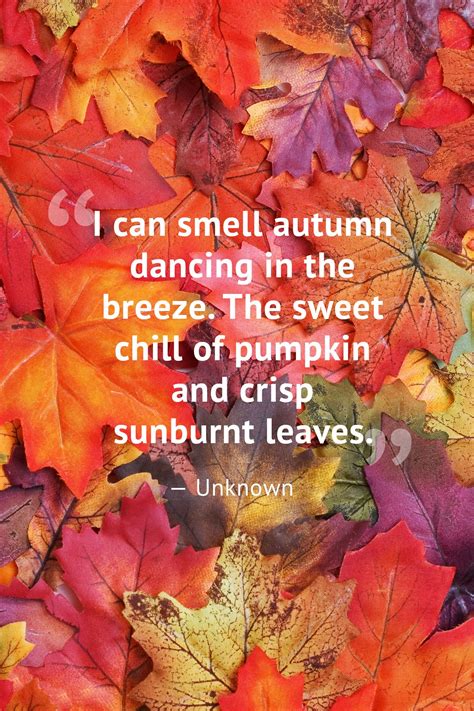 55 Short and Sweet Fall Quotes to Fall in Love With This Season ...