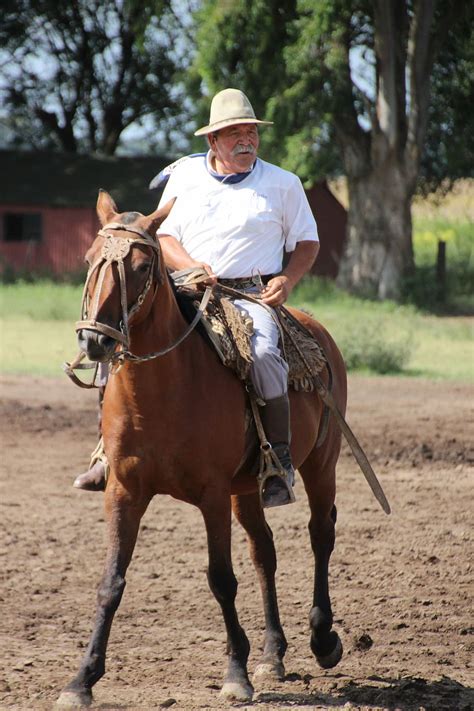 Horse, Rider, Argentina, Gaucho, horse, rider, horseback riding, wild ...