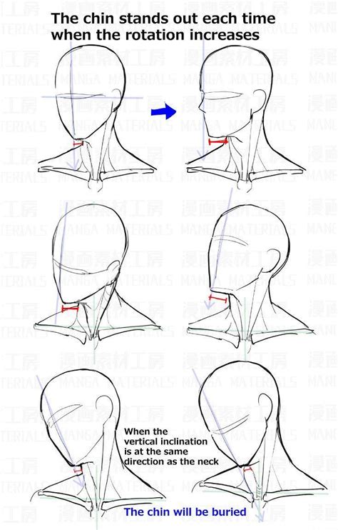 Neck Drawing, Drawing Heads, Anatomy Drawing, Drawing Poses, Drawing ...