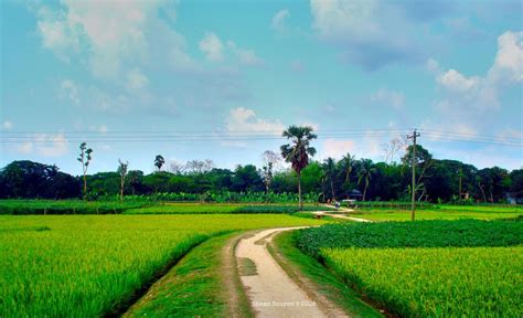 Beautiful Bangladesh | Village photos, Landscape, Country roads