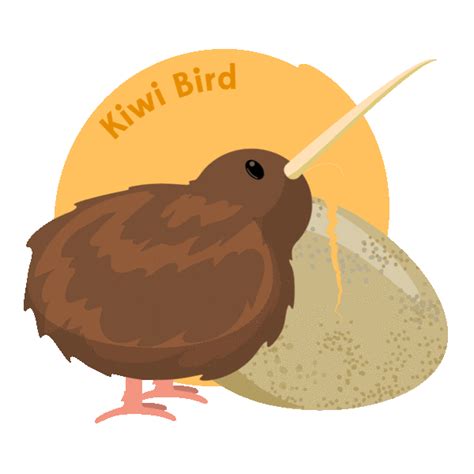 Kiwi Bird Nz Sticker by Pure New Zealand for iOS & Android | GIPHY