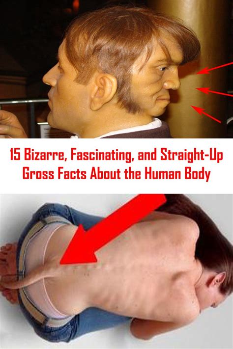 15 Bizarre, Fascinating, and Straight-Up Gross Facts About the Human Body | Gross facts, Weird ...