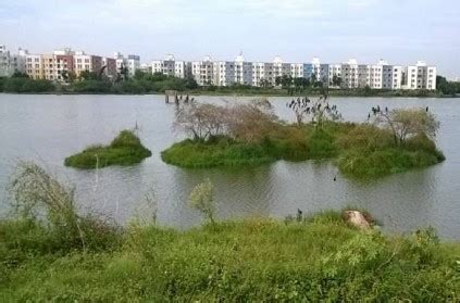 Woman dead body found in Chennai Perumbakkam lake | Tamil Nadu News