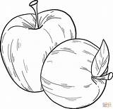 Two Apples coloring page  Free Printable Coloring Pages sketch template