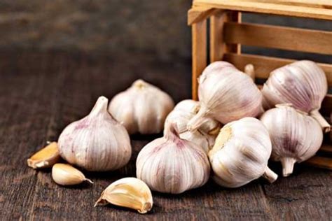 Garlic - Health Benefits and Cancer Prevention - MHE - Medical, Health ...