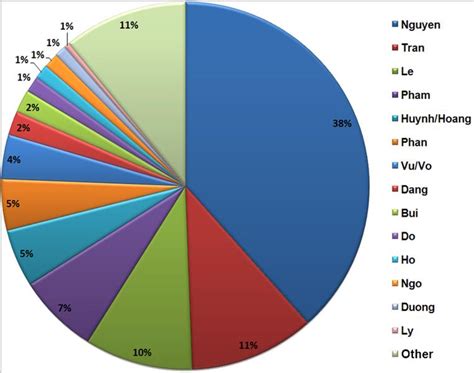 Vietnamese people overview