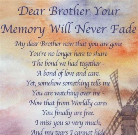 13++ Inspirational Quotes For The Loss Of A Brother - FinetoShine