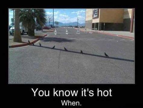 21 Signs It’s Too Freaking Hot Outside… | Funny pictures, Funny ...