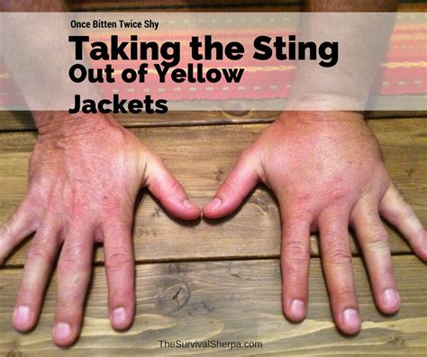 Once Bitten Twice Shy: Taking the Sting Out of Yellow Jackets | Yellow ...