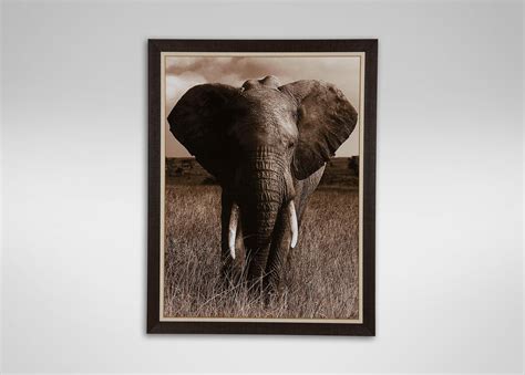 Elephant | Wall Décor | Ethan Allen | Framed artwork, Elephant wall ...